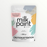 Fusion Milk Paint - Palm Springs Pink