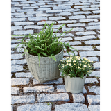 Fusion Mineral Paint - Lichen