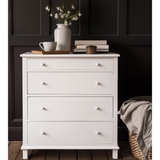 Fusion Mineral Paint - Snowdrop