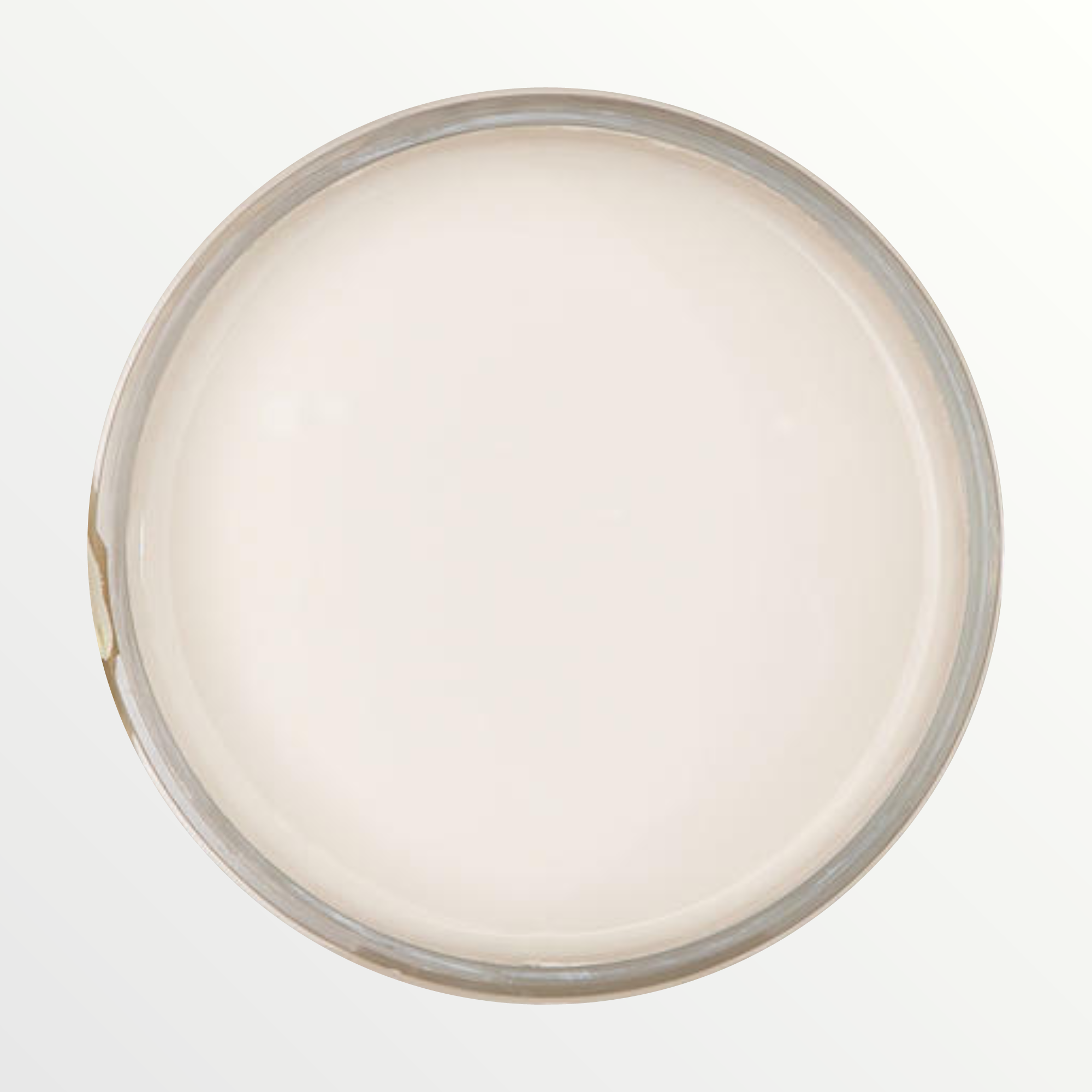 Dixie Belle Drop Cloth chalk mineral paint - open pot