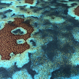 Fleur Real Verdigris - Reagent