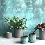 Fleur Real Verdigris - Antioxidant