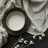 Fusion Mineral Paint - Snowdrop
