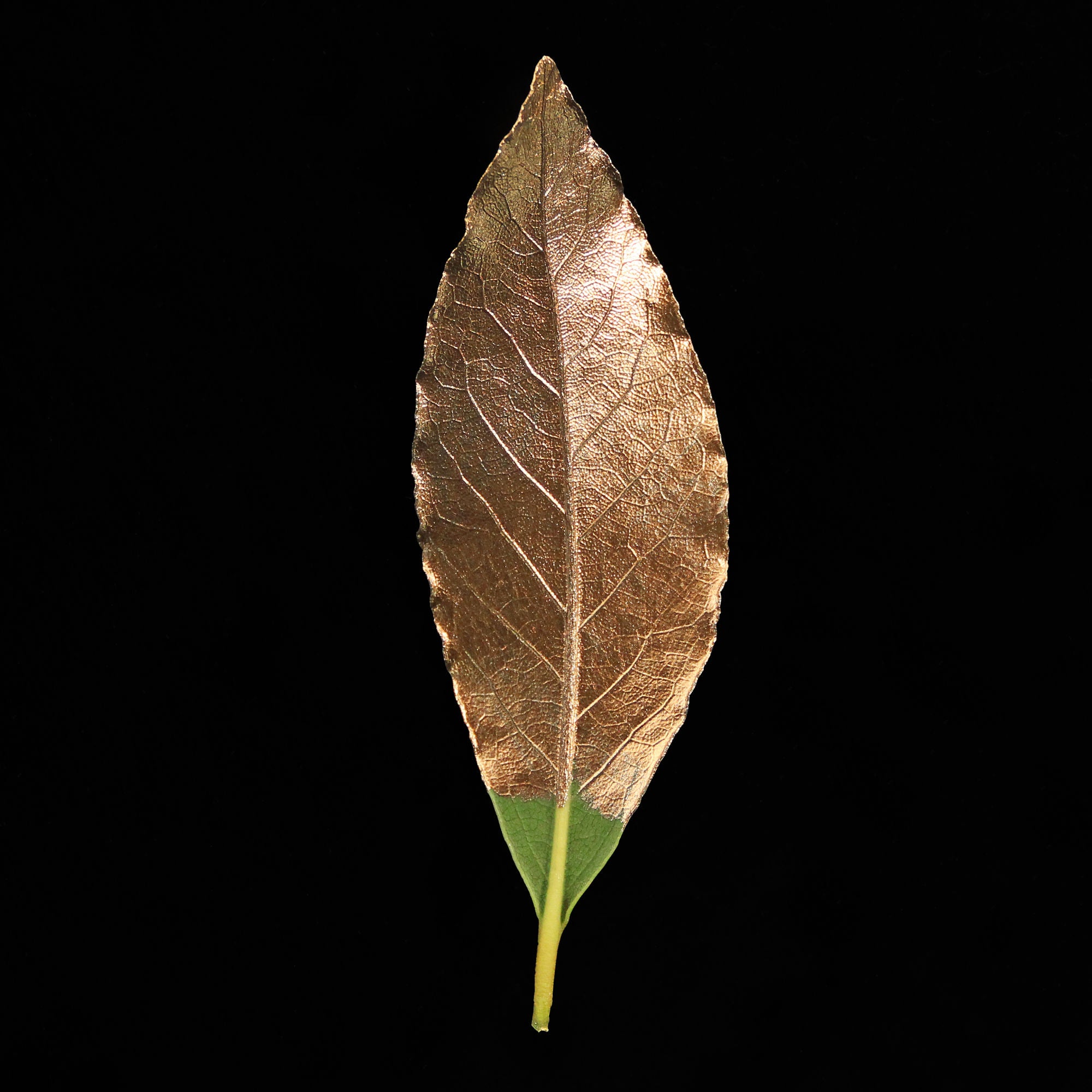 Guild Lane GILD - Bronze
