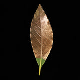 Guild Lane GILD - Bronze