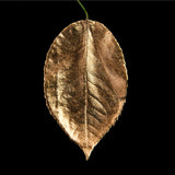 Guild Lane GILD - Bronze