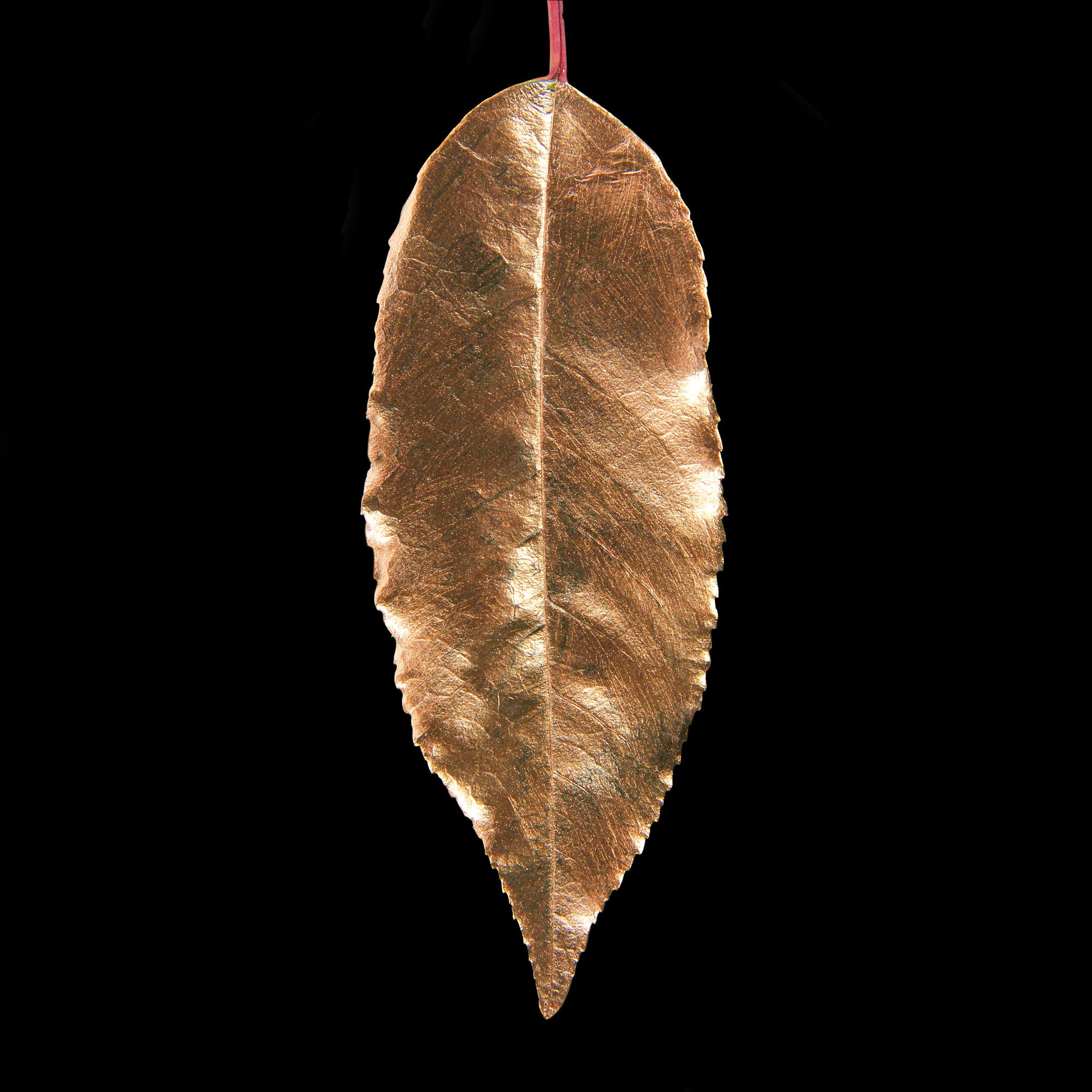Guild Lane GILD - Bronze