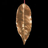 Guild Lane GILD - Bronze