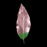 Guild Lane GILD - Rose Gold