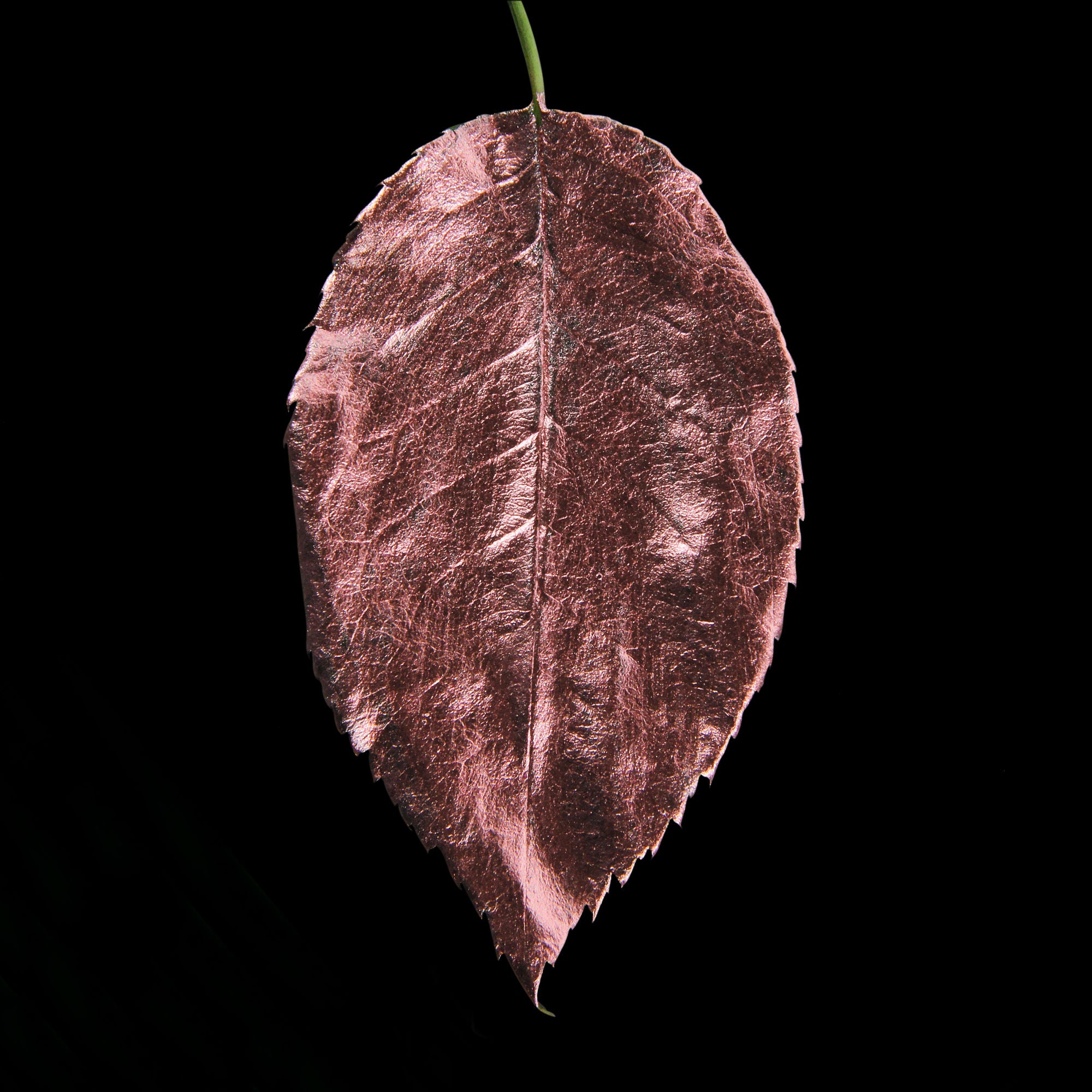 Guild Lane GILD - Rose Gold