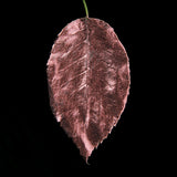 Guild Lane GILD - Rose Gold