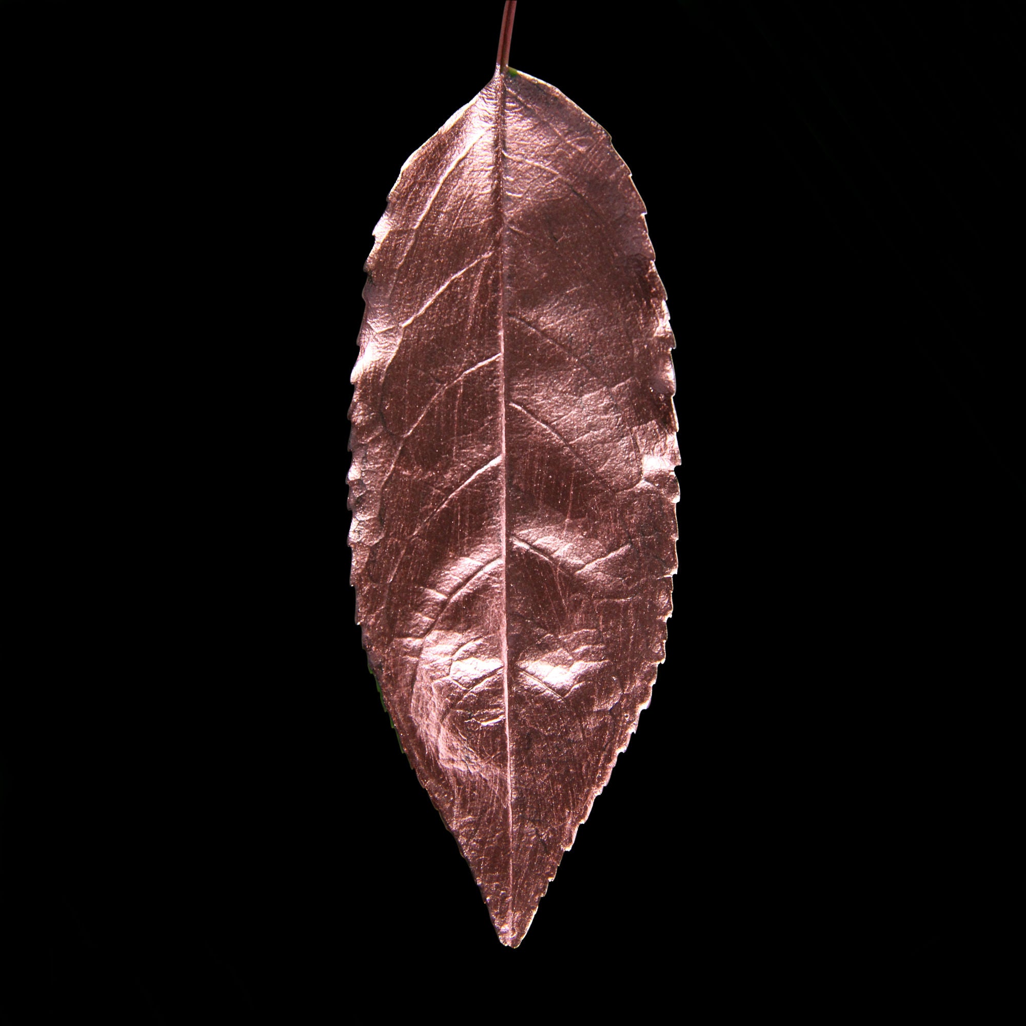 Guild Lane GILD - Rose Gold
