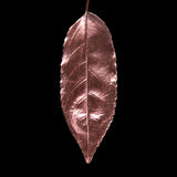 Guild Lane GILD - Rose Gold