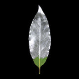 Guild Lane GILD - Silver