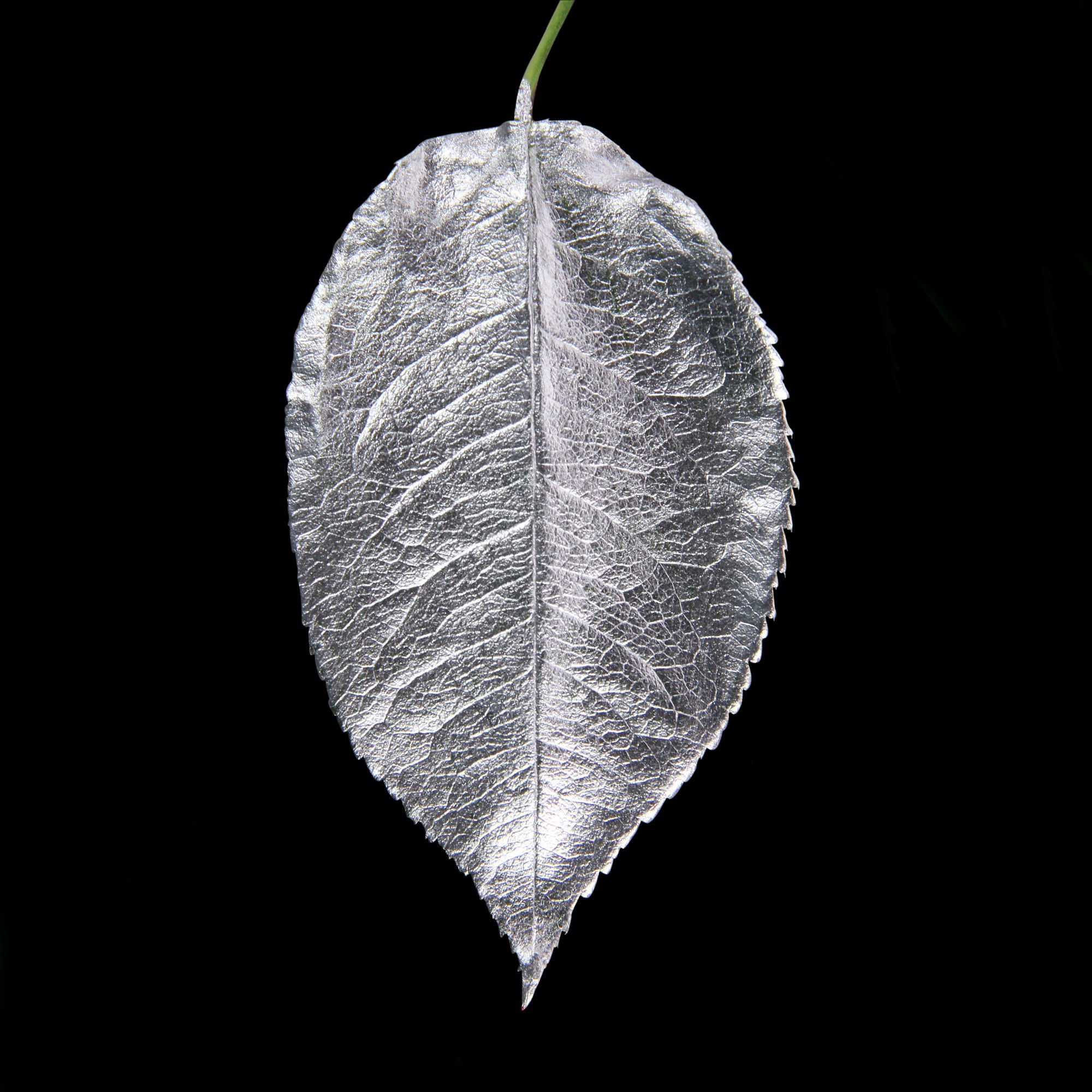 Guild Lane GILD - Silver