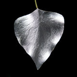 Guild Lane GILD - Silver