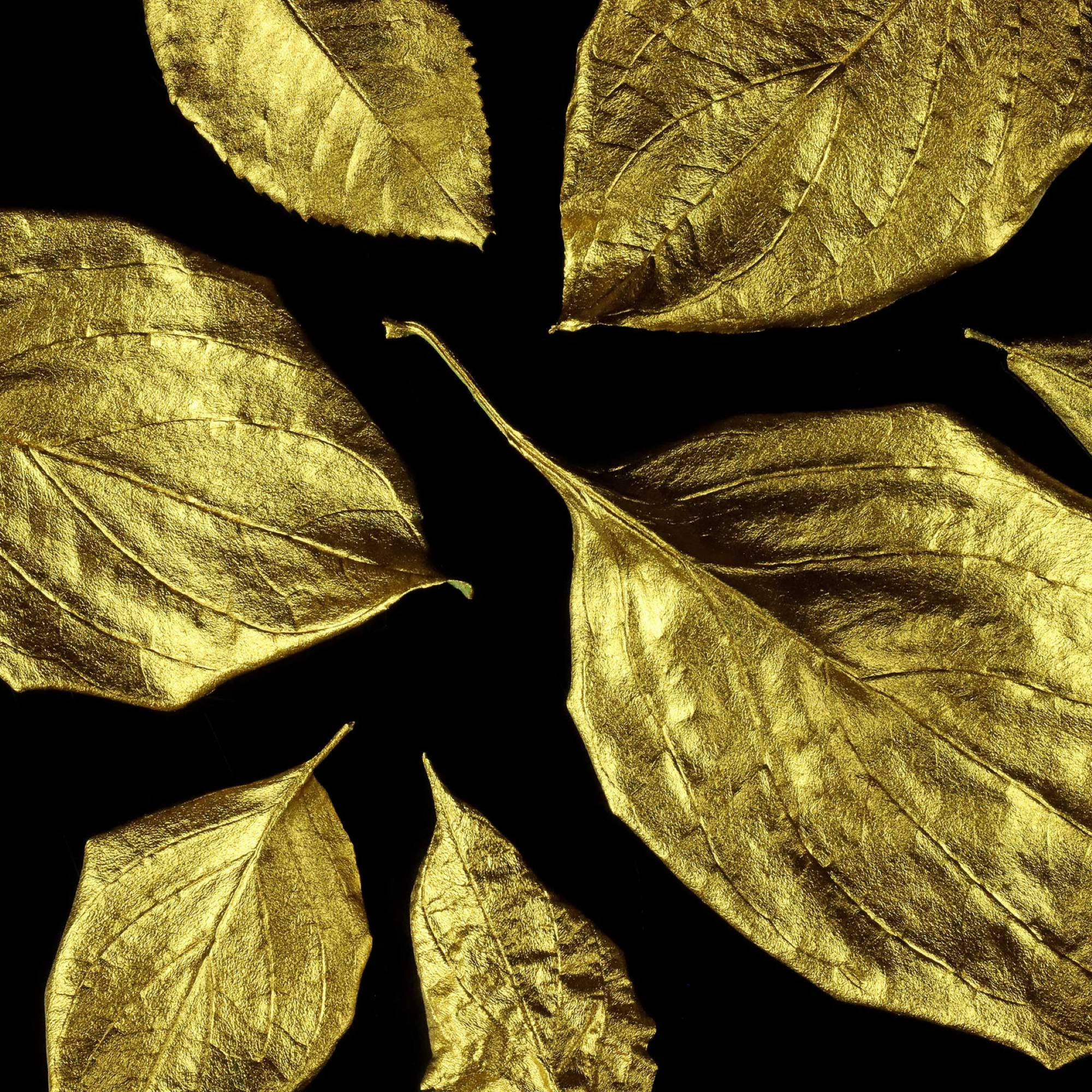 Guild Lane Super GILD - Gold