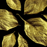 Guild Lane Super GILD - Gold