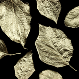 Guild Lane Super GILD - Platinum