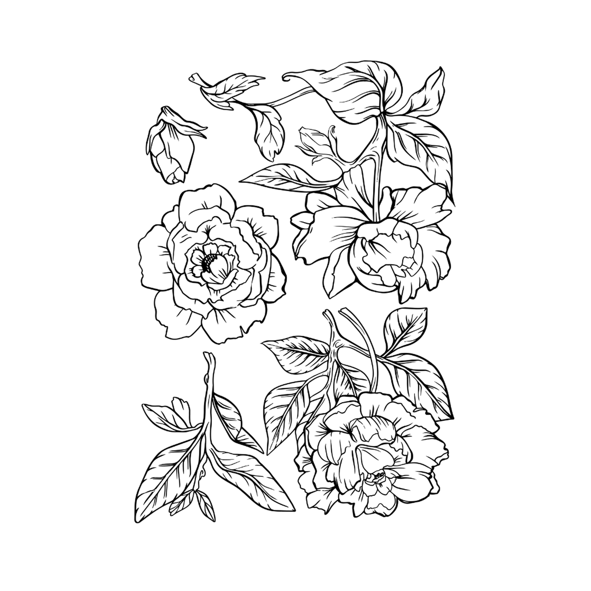 Made by Marley Bloom & Briar stamp set - image 2