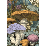 Made by Marley Toadstool decoupage paper - image 2