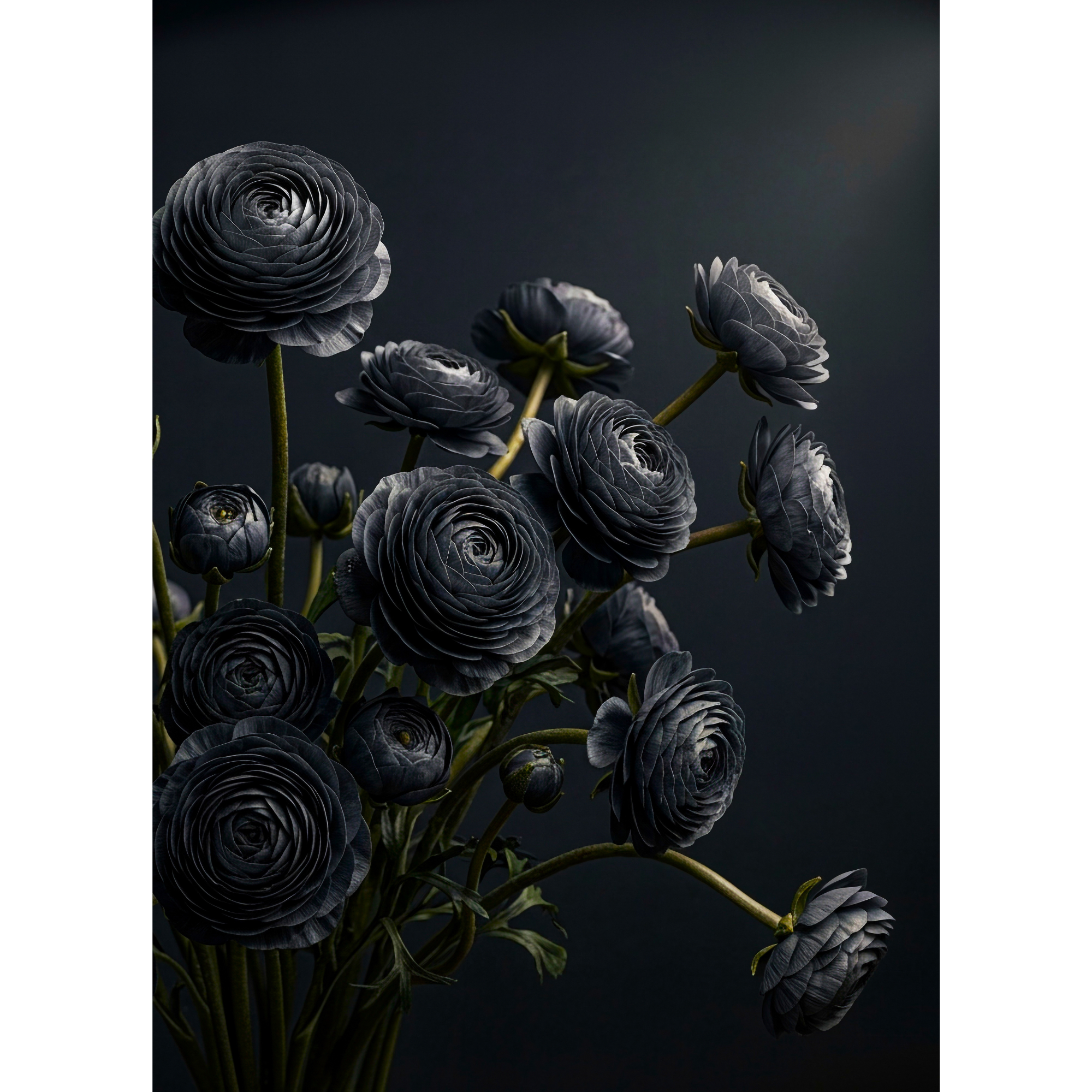 Mint Decoupage Paper - Midnight Ranunculus