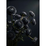 Mint Decoupage Paper - Midnight Ranunculus