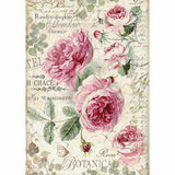 Stamperia Botanic English Roses rice paper - sheet