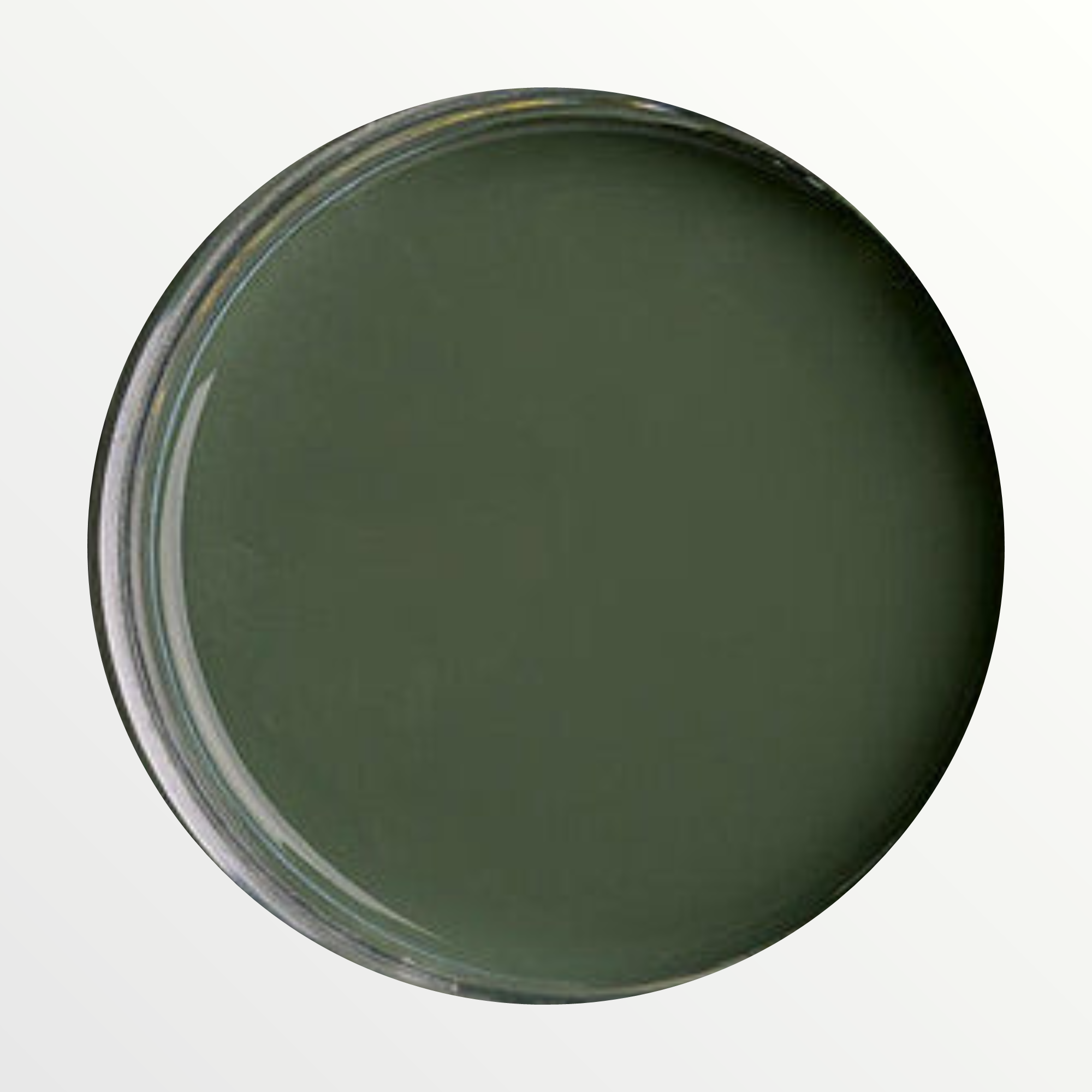 Dixie Belle Briar Patch chalk mineral paint - open pot