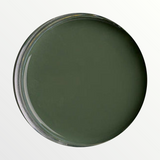 Dixie Belle Briar Patch chalk mineral paint - open pot