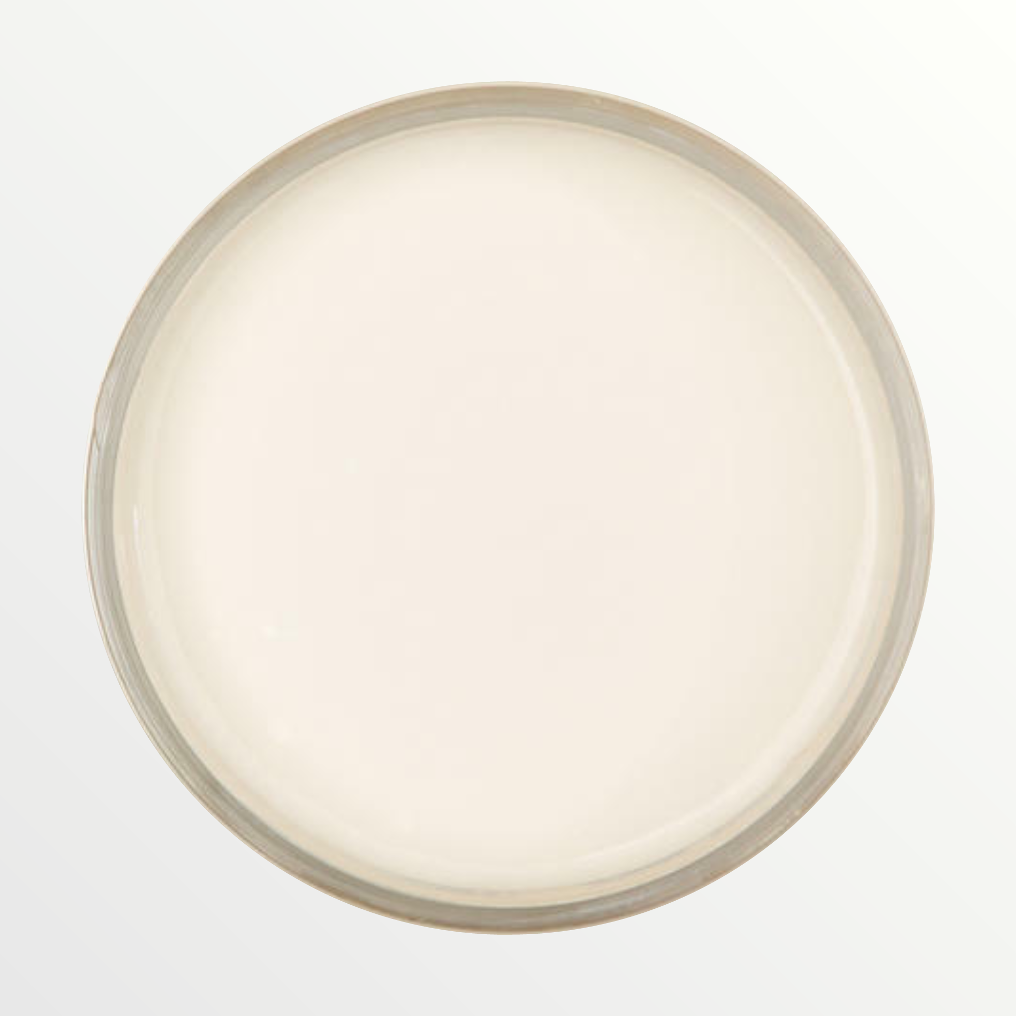 Dixie Belle Buttercream chalk mineral paint - open pot