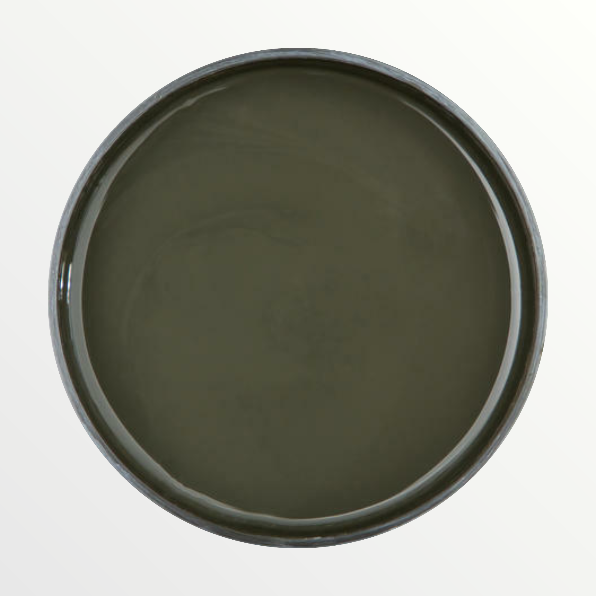 Dixie Belle Collard Greens chalk mineral paint - open pot