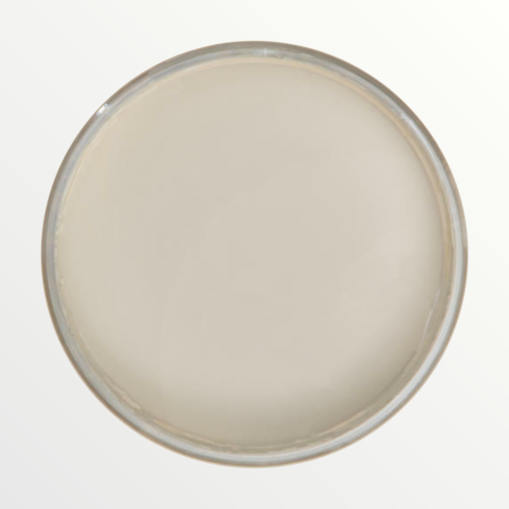 Dixie Belle Dried Sage chalk mineral paint - open pot