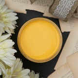 Dixie Belle Daisy chalk mineral paint - flat lay