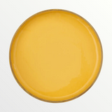 Dixie Belle Daisy chalk mineral paint - open pot