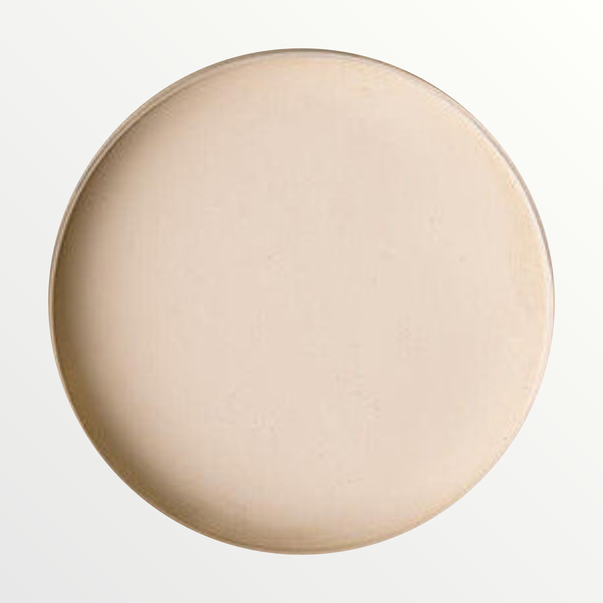 Dixie Belle Ecru chalk mineral paint - open pot