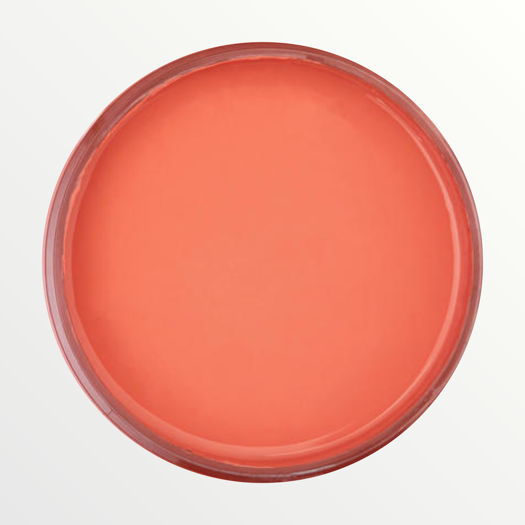 Dixie Belle Flamingo chalk mineral paint - open pot