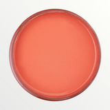 Dixie Belle Flamingo chalk mineral paint - open pot