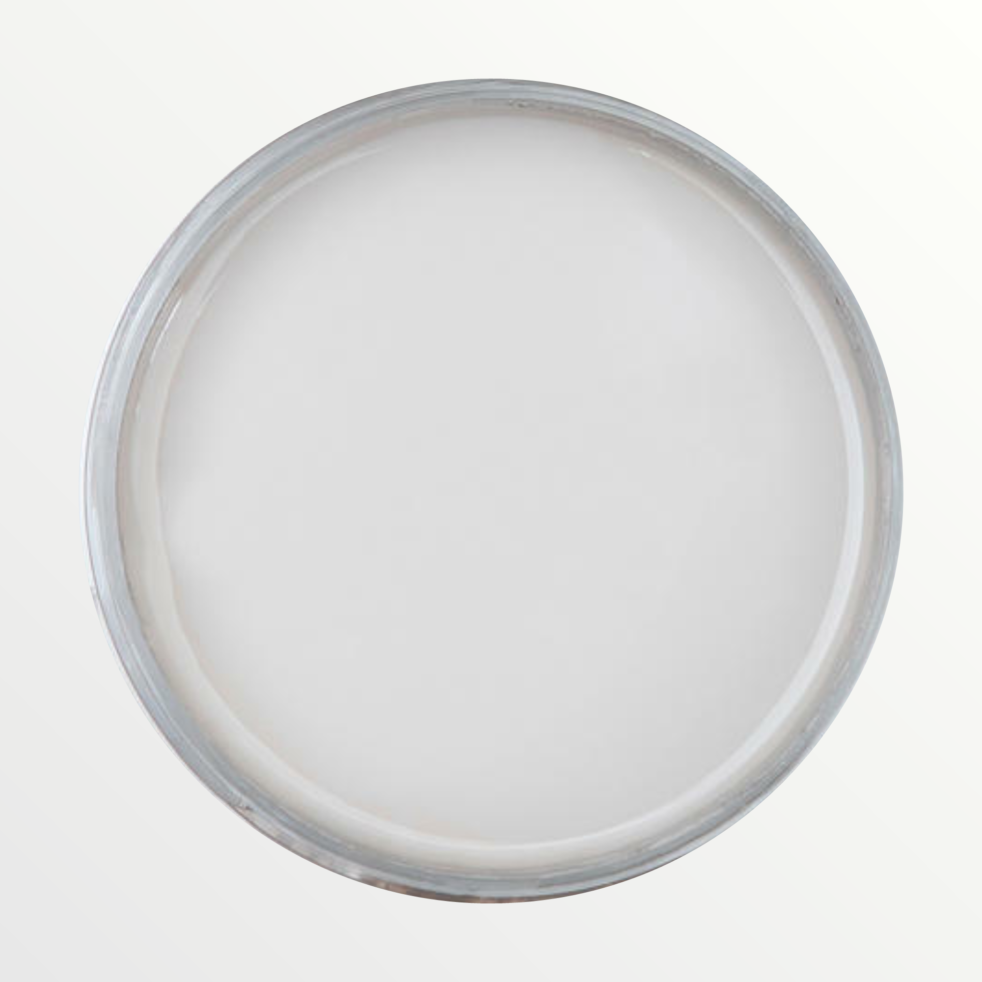 Dixie Belle French Linen chalk mineral paint - open pot