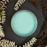 Dixie Belle The Gulf chalk mineral paint - flat lay