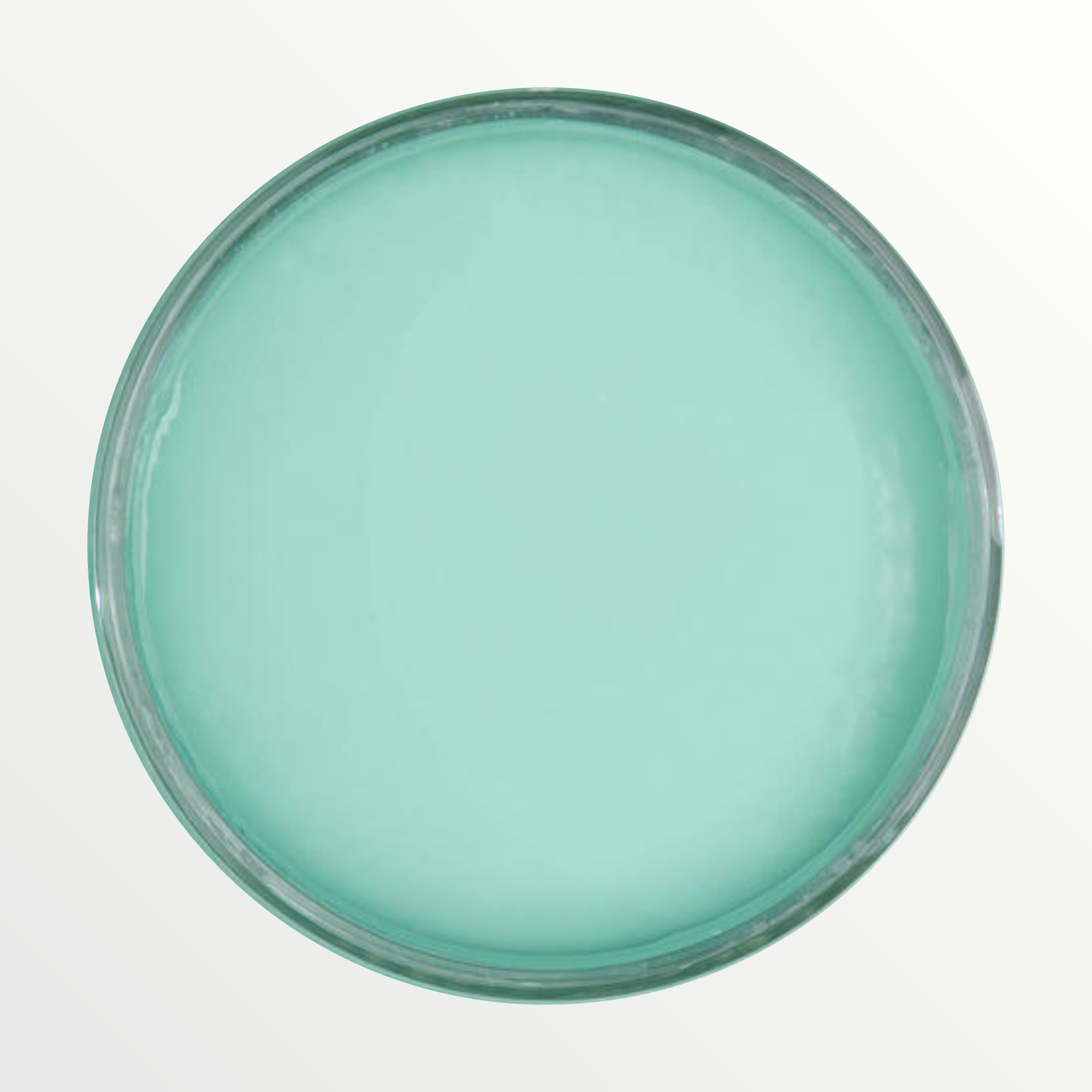 Dixie Belle The Gulf chalk mineral paint - open pot