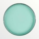 Dixie Belle The Gulf chalk mineral paint - open pot