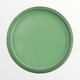 Dixie Belle Kudzu chalk mineral paint - open pot