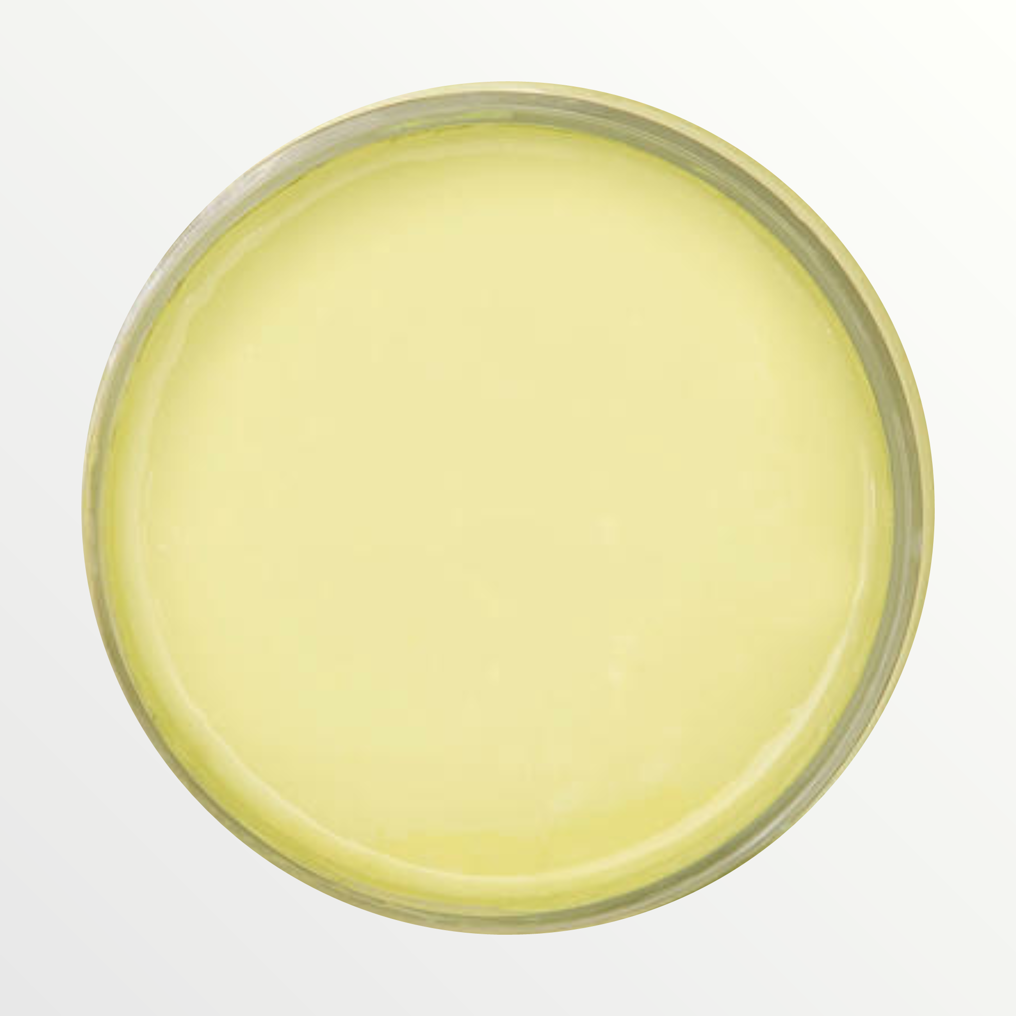Dixie Belle Limeade chalk mineral paint - open pot