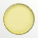 Dixie Belle Limeade chalk mineral paint - open pot