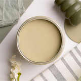 Dixie Belle Olive Wood chalk mineral paint - flat lay