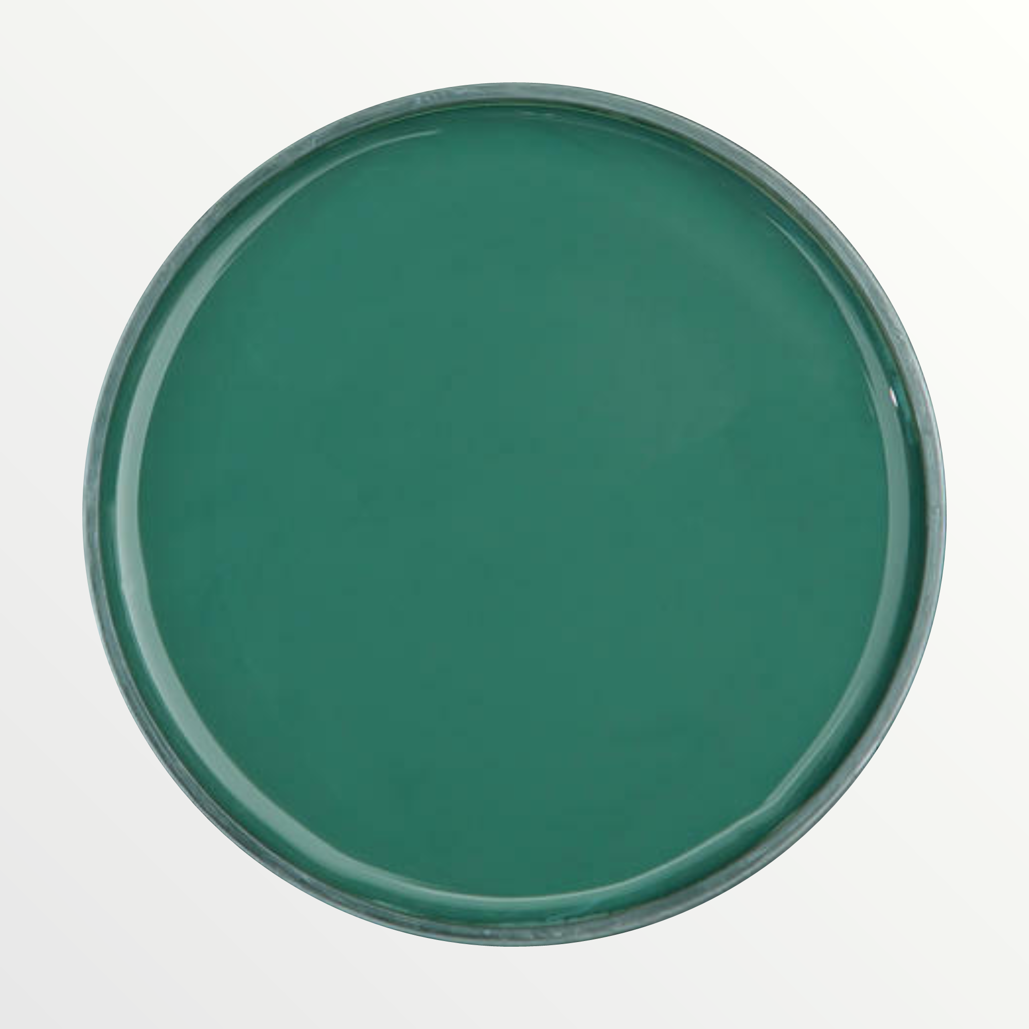 Dixie Belle Palmetto chalk mineral paint - open pot