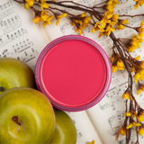 Dixie Belle Peony chalk mineral paint - flat lay