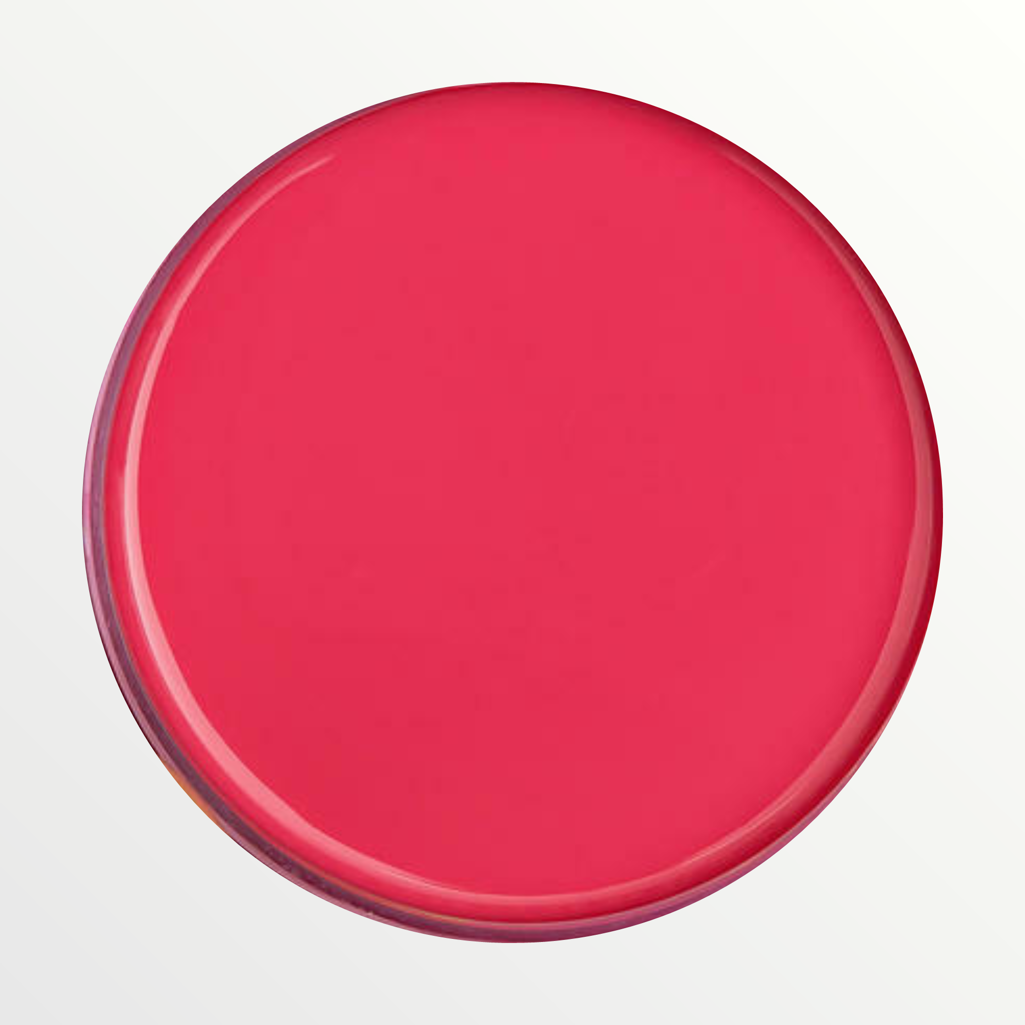 Dixie Belle Peony chalk mineral paint - open pot