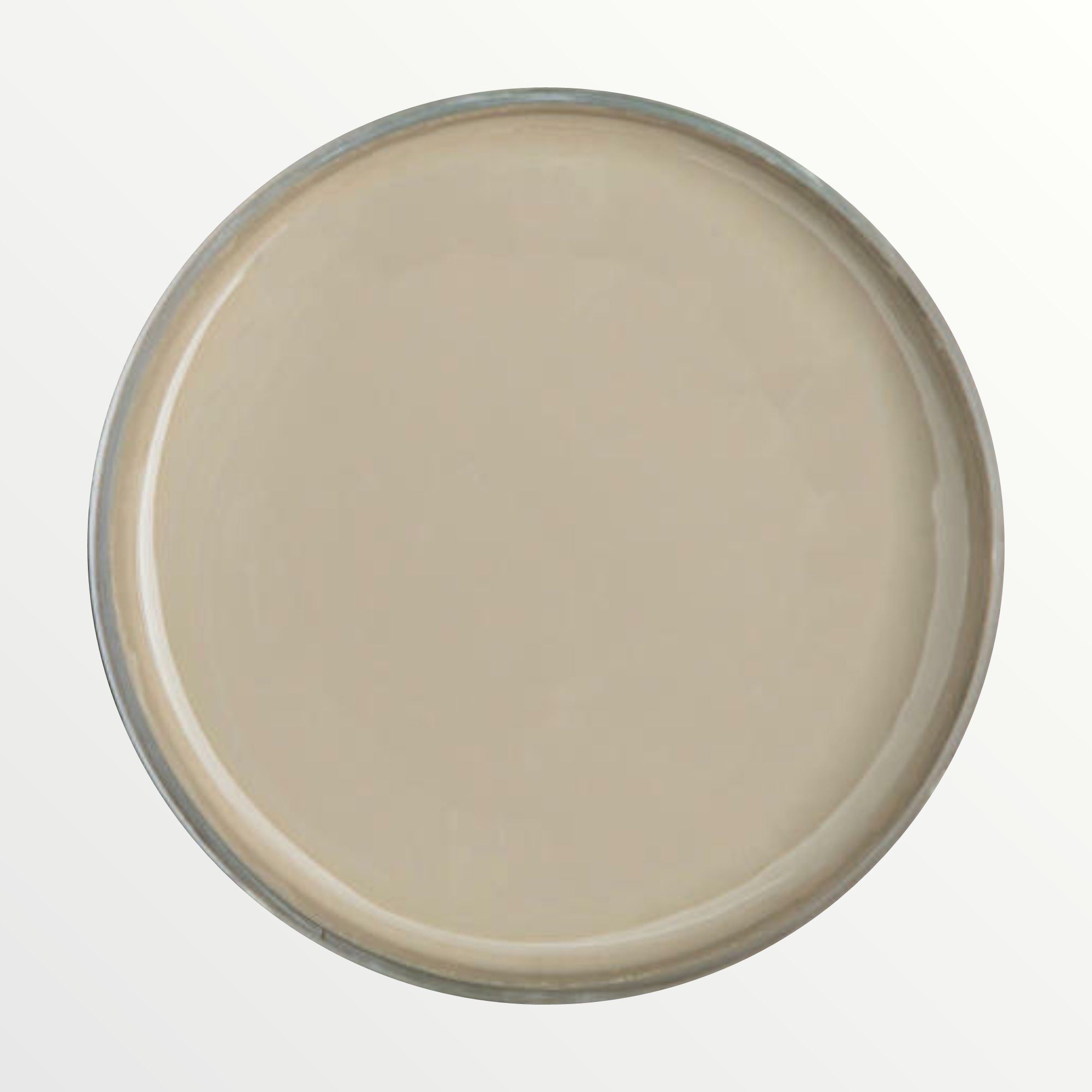 Dixie Belle Spanish Moss chalk mineral paint - open pot